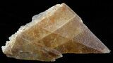 Dogtooth Calcite Crystal - Morocco #50195-1